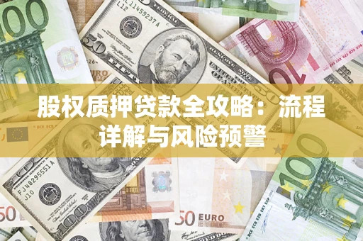 北京股权质押贷款全攻略：流程详解与风险预警