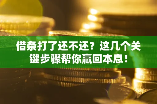 北京借条打了还不还？这几个关键步骤帮你赢回本息！