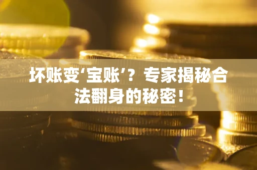 北京坏账变‘宝账’？专家揭秘合法翻身的秘密！