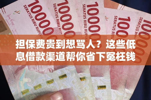北京担保费贵到想骂人？这些低息借款渠道帮你省下冤枉钱