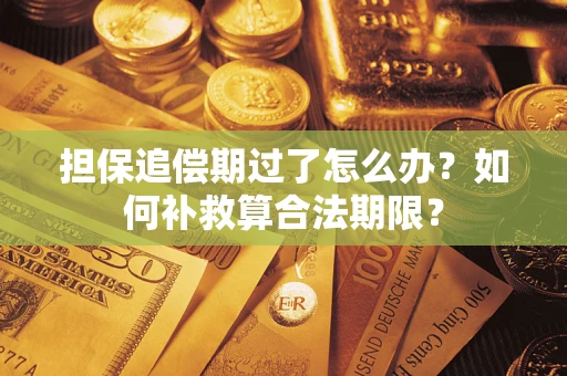 北京担保追偿期过了怎么办？如何补救算合法期限？