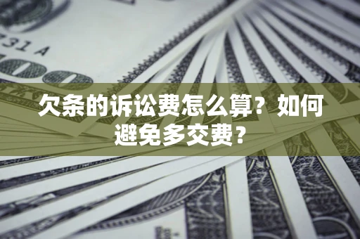 北京欠条的诉讼费怎么算？如何避免多交费？