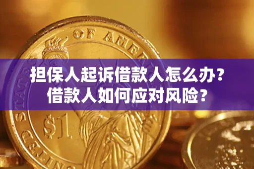 北京担保人起诉借款人怎么办？借款人如何应对风险？